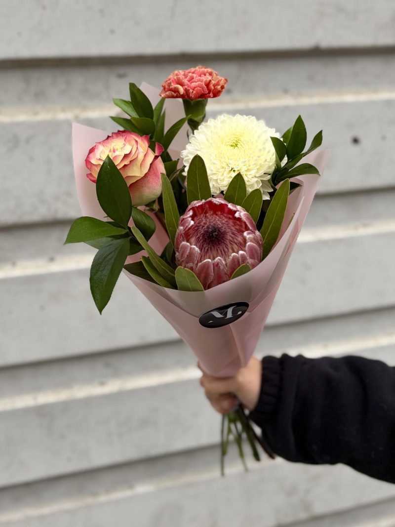 Mix Protea