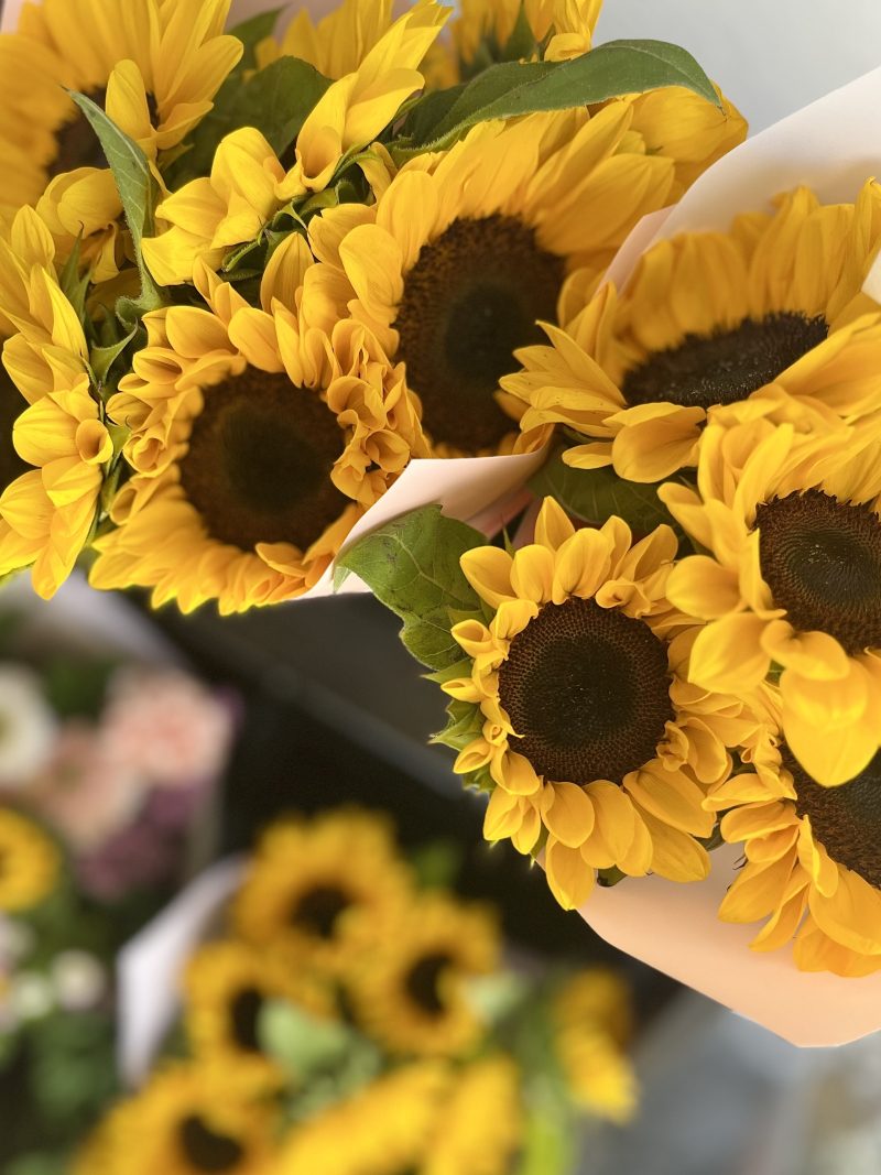 Ramo Girasoles · Primavera