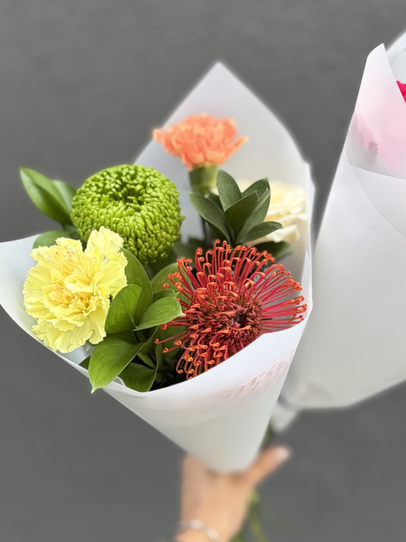 ¡Nuevo! Mix Leucospermum